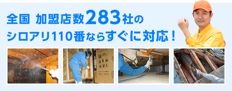 全国加盟店数283社のシロアリ110番ならすぐに対応