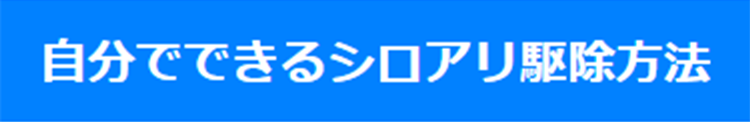 自分でできるシロアリ駆除方法