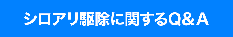 シロアリ駆除に関するQ&A