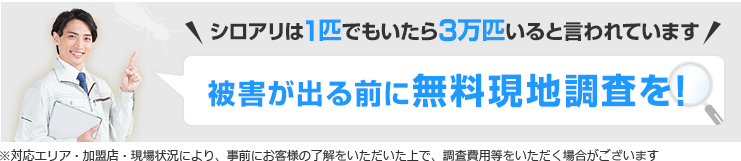 シロアリは1匹いたら3万匹いると言われています