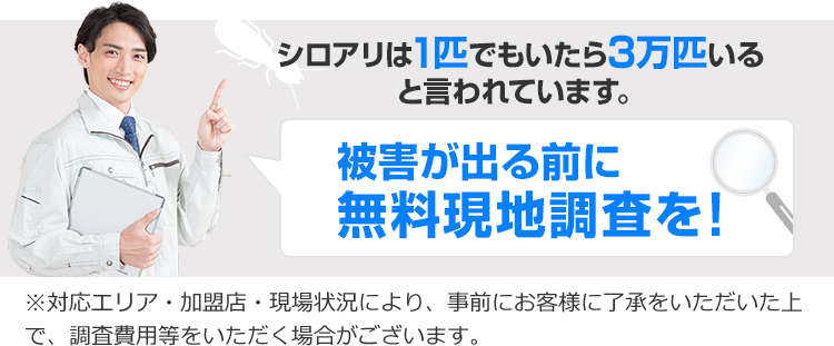 シロアリは1匹いたら3万匹いると言われています