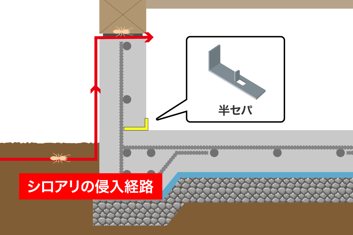 半分の長さのセパレーター