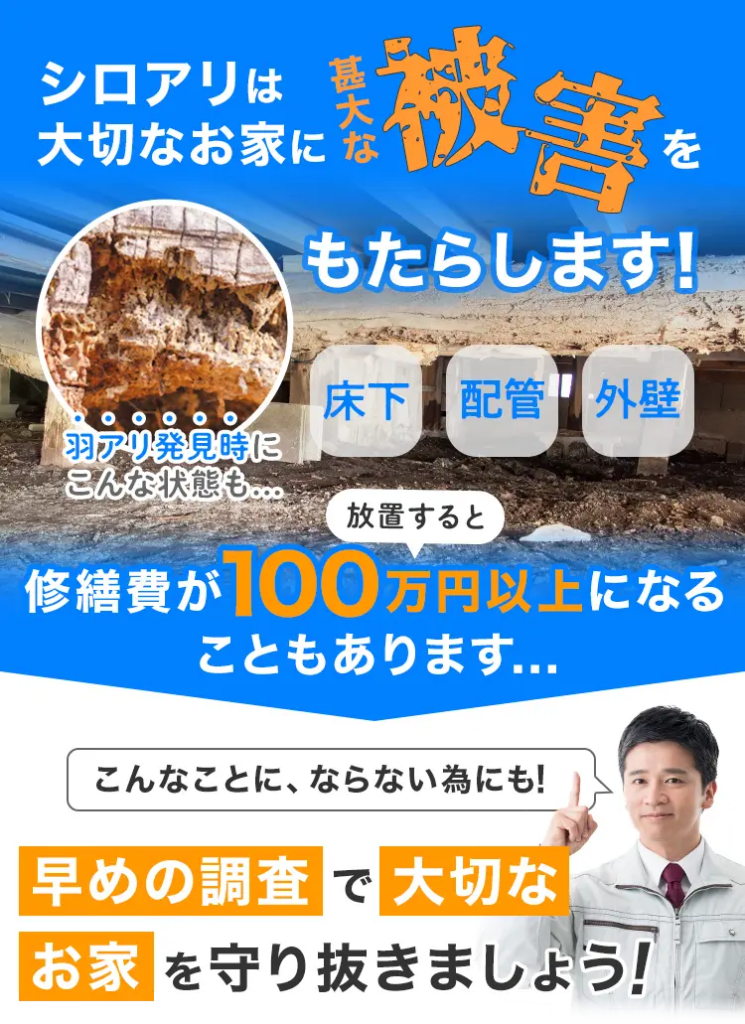 シロアリは大切なお家に甚大な被害をもたらします!羽アリがどこからくるか気になりますよね。羽アリは普段見えない床下・配管・外壁にシロアリが巣を作ることで、そこから発生している可能性があります。羽アリとはその名の通り羽のついたシロアリの個体で、巣が大きくなると一斉に羽アリが飛び出します。羽アリを画像のように放置すると、修繕費が100万円以上になることもあります…。シロアリ・羽アリを寄せ付けないようにするには早めの調査が必要です!シロアリ・羽アリを撃退し、大切なお家を守り抜きましょう!