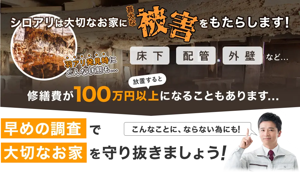 シロアリは大切なお家に甚大な被害をもたらします!羽アリがどこからくるか気になりますよね。羽アリは普段見えない床下・配管・外壁にシロアリが巣を作ることで、そこから発生している可能性があります。羽アリとはその名の通り羽のついたシロアリの個体で、巣が大きくなると一斉に羽アリが飛び出します。羽アリを画像のように放置すると、修繕費が100万円以上になることもあります…。シロアリ・羽アリを寄せ付けないようにするには早めの調査が必要です!シロアリ・羽アリを撃退し、大切なお家を守り抜きましょう!