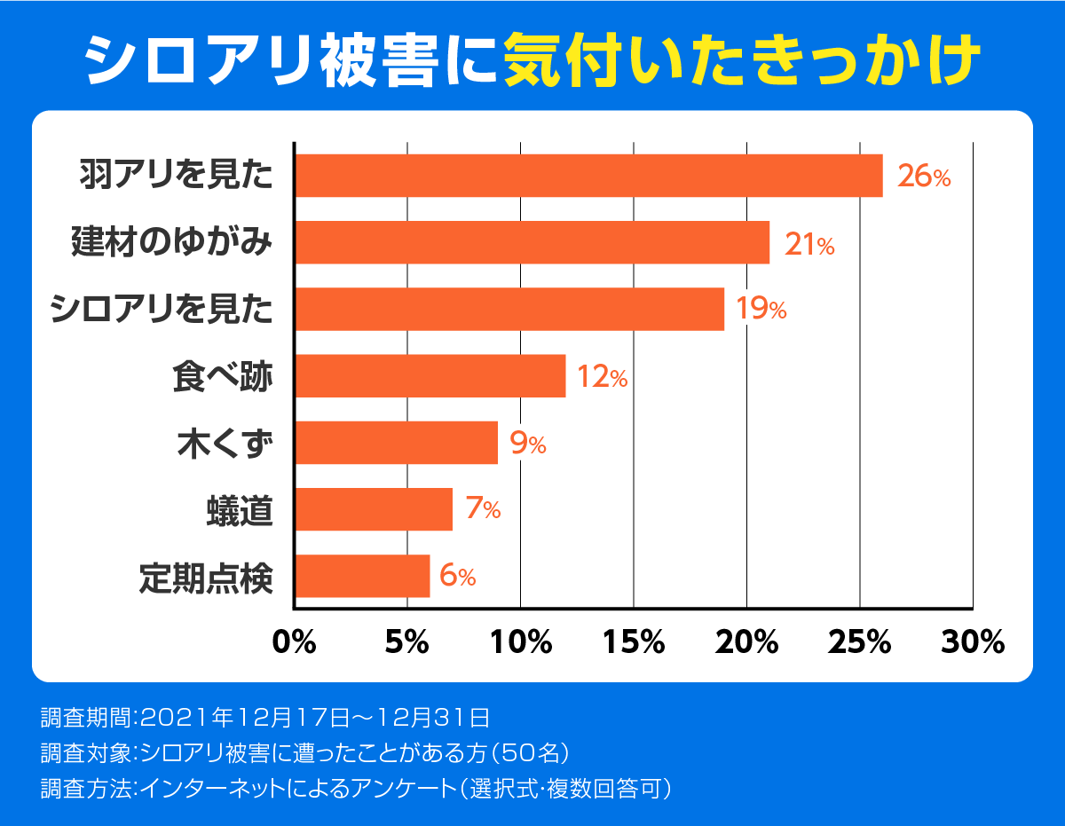 シロアリ被害に気付いたきっかけ