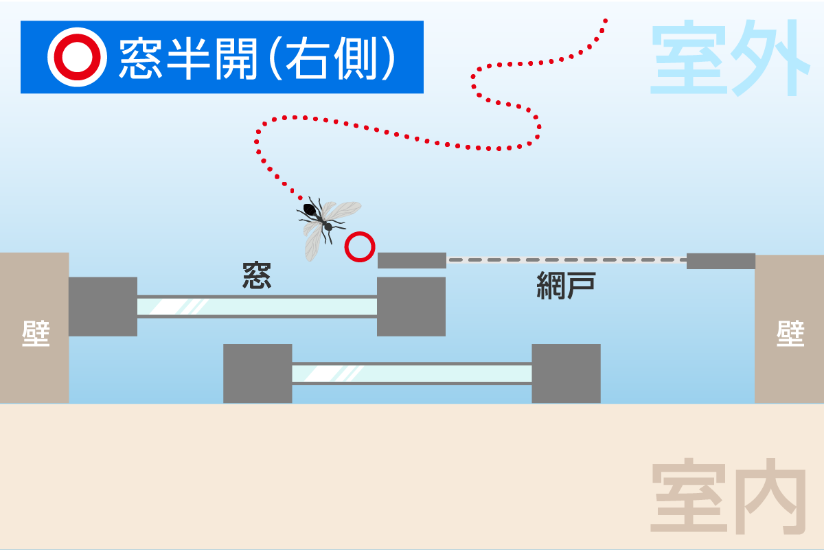 羽アリが侵入しにくい窓の開け方（右側半開）