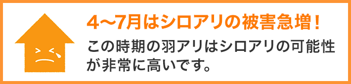 羽アリが出る理由として、既にシロアリの巣が家に作られていることが考えられます。4~7月はシロアリ・羽アリ被害急増!羽アリとは羽のついたシロアリの個体で、この時期は羽アリが大量発生する可能性が非常に高いです。家の中で羽アリや黒っぽい虫を見かけたら、早めに調査・駆除をおすすめします。