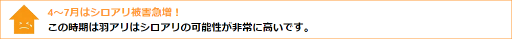 羽アリが出る理由として、既にシロアリの巣が家に作られていることが考えられます。4~7月はシロアリ・羽アリ被害急増!羽アリとは羽のついたシロアリの個体で、この時期は羽アリが大量発生する可能性が非常に高いです。家の中で羽アリや黒っぽい虫を見かけたら、早めに調査・駆除をおすすめします。