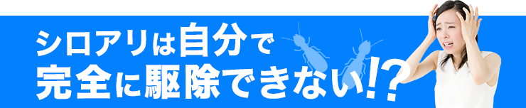 シロアリは自分で完全に駆除できない