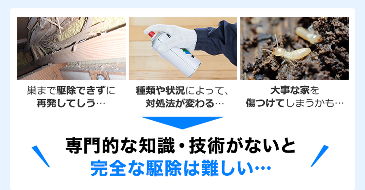 巣まで駆除できずに再発してしまう…　種類や状況によって、対処法が変わる…　大事な家を傷つけてしまうかも…　専門的な知識・技術がないと完全な駆除は難しい…