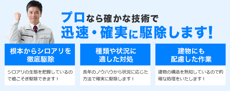 プロなら確かな技術で迅速・確実に駆除します！根本から シロアリを徹底駆除　シロアリの生態を把握しているので根こそぎ駆除できます！種類や状況に適した対処　長年のノウハウから状況に応じた方法で確実に駆除します！建物にも配慮 した作業　建物の構造を熟知しているので的確な処理をいたします！