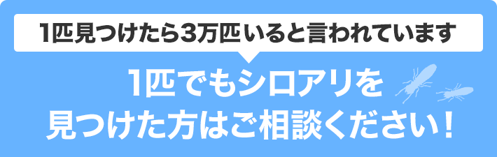 1匹でもシロアリを 見つけた方はご相談ください！