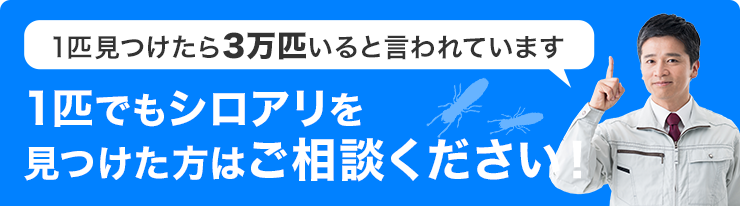 1匹でもシロアリを見つけた方はご相談ください！