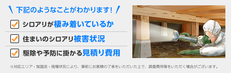 床下の現地調査　下記のようなことがわかります！・シロアリが棲み付いているか　・住まいのシロアリ被害状況　・駆除や予防に掛かる見積り費用　※対応エリア・加盟店・現場状況により、事前にお客様の了承をいただいた上で、調査費用等をいただく場合がございます。