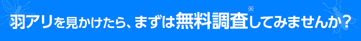 羽アリを見かけたら、まずは無料調査してみませんか？