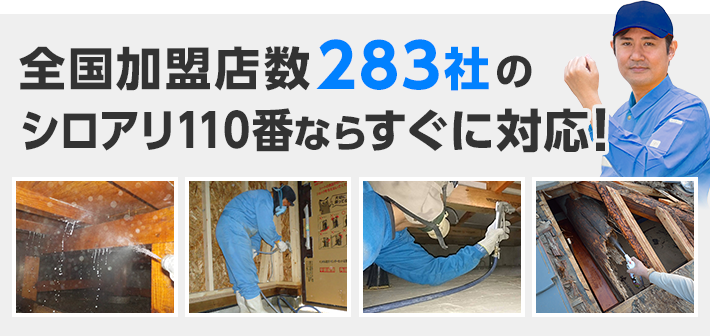 全国加盟店数283社のシロアリ110番ならすぐに対応!