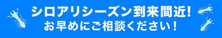 シロアリシーズン到来間近！お早めにご相談ください！