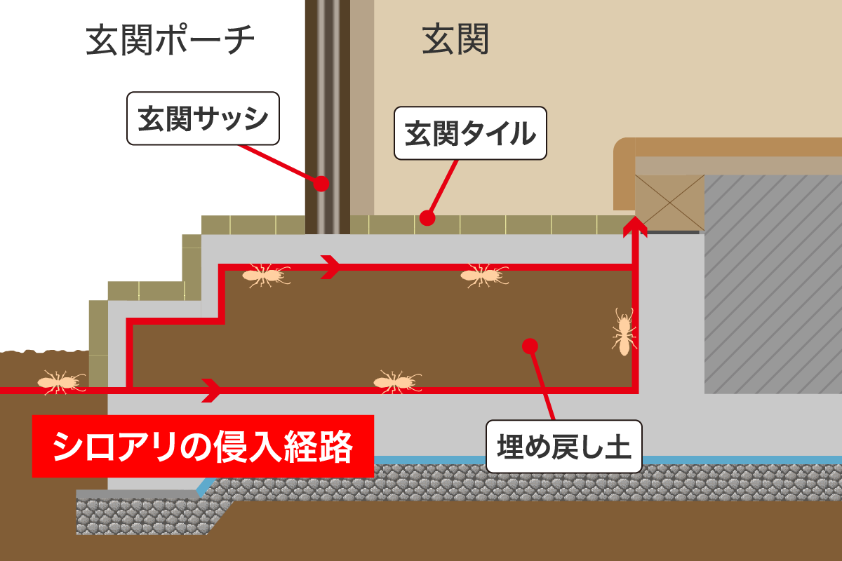 玄関の埋め戻し土からシロアリが侵入する経路