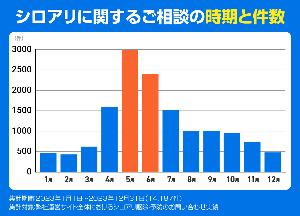 シロアリに関するご相談の時期と件数