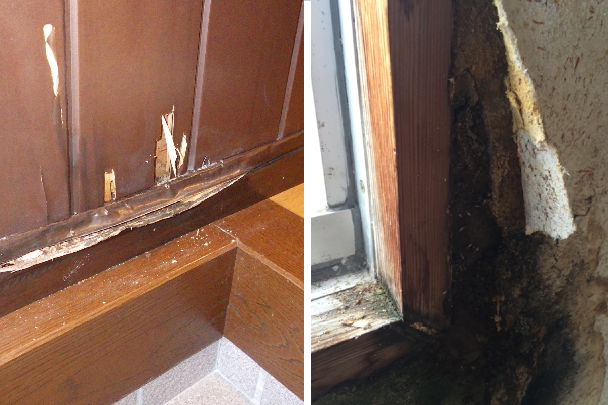 玄関と窓枠のシロアリ被害