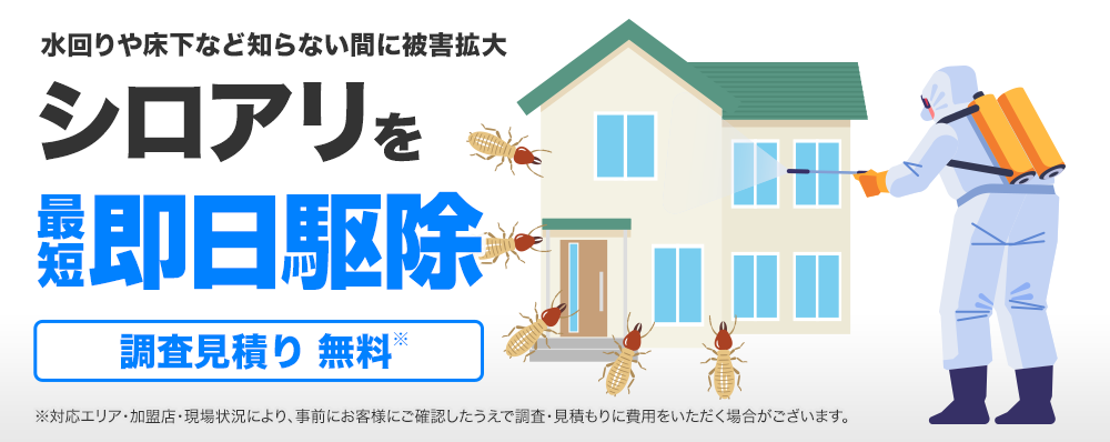 大阪府受付対応中！水回りや床下など知らない間に被害拡大。シロアリを最短即日駆除。調査見積もり無料。