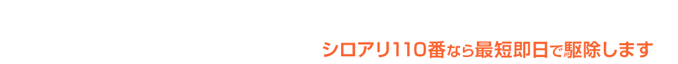 5～7月はシロアリ駆除のご依頼が大変混み合います！お早めにご連絡ください。シロアリ110番なら最短即日で駆除します。