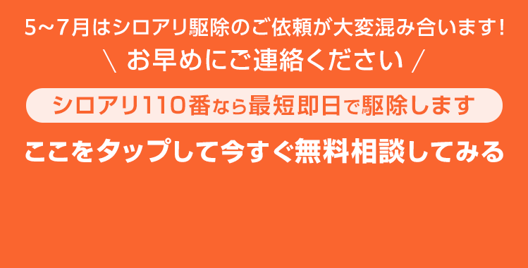 5～7月はシロアリ駆除のご依頼が大変混み合います！お早めにご連絡ください。シロアリ110番なら最短即日で駆除します。