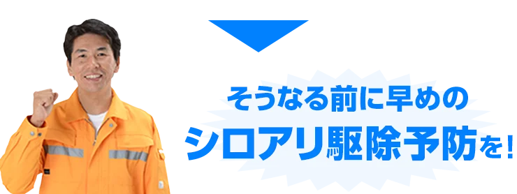 そうなる前に早めのシロアリ駆除予防を!