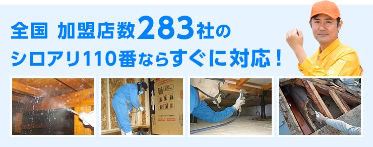 全国加盟店数283社のシロアリ110番ならすぐに対応!お客様にピッタリなお近くのシロアリ駆除業者をご紹介します。