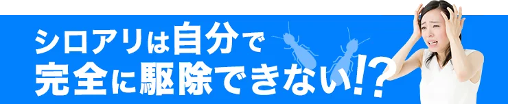 シロアリは自分で完全に駆除できない