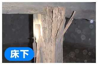 柱のシロアリ被害