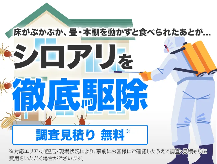 シロアリ110番でシロアリを徹底駆除!調査・見積もり無料で承ります。
