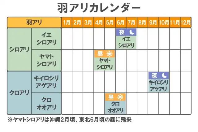 羽アリの発生時期