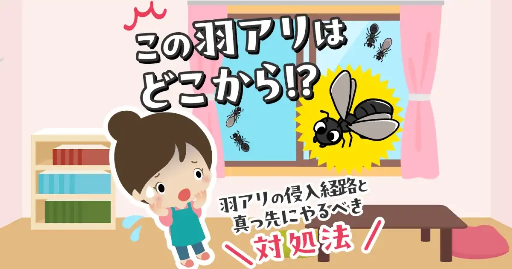 羽アリはどこから家の中に入ってくるか