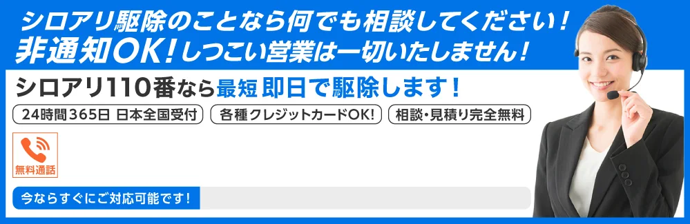 シロアリ駆除の事ことなら何でも相談してください。非通知OK!しつこい営業は一切いたしません！シロアリ110番なら最短即日で駆除します！24時間365日受付、各種クレジットカードOK、相談・見積り完全無料のシロアリ110番にご相談ください。