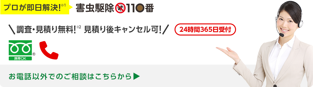 今すぐお電話で無料相談！